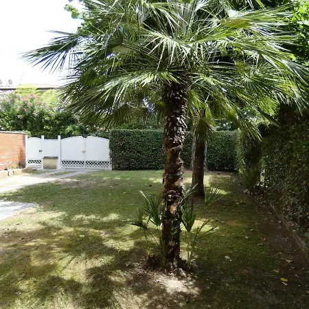 Allende In Dei Marmi Форте-деи-Марми
