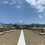 Allende In Dei Marmi *