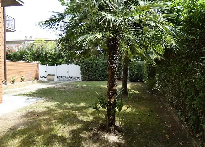 Allende In Dei Marmi Forte dei Marmi