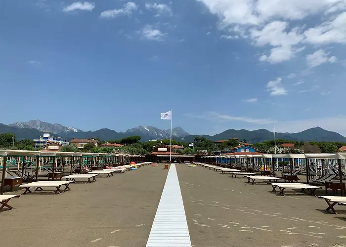 Allende In Dei Marmi *